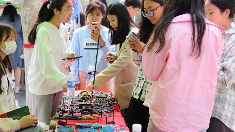 轻量级AI应用工具：如何选择适合你的解决方案