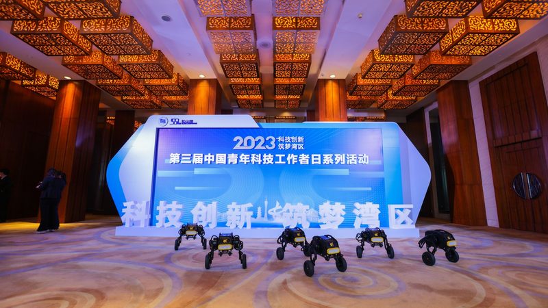 企业级搜索工具：如何选择合适的解决方案**